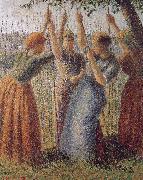 Woman under the bean frame Camille Pissarro